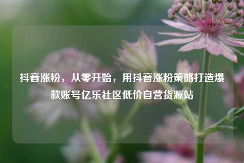 抖音涨粉，从零开始，用抖音涨粉策略打造爆款账号亿乐社区低价自营货源站  第1张