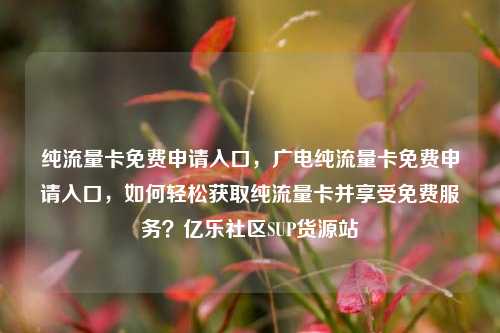 纯流量卡免费申请入口，广电纯流量卡免费申请入口，如何轻松获取纯流量卡并享受免费服务？亿乐社区SUP货源站  第1张